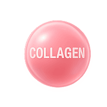 Collagen